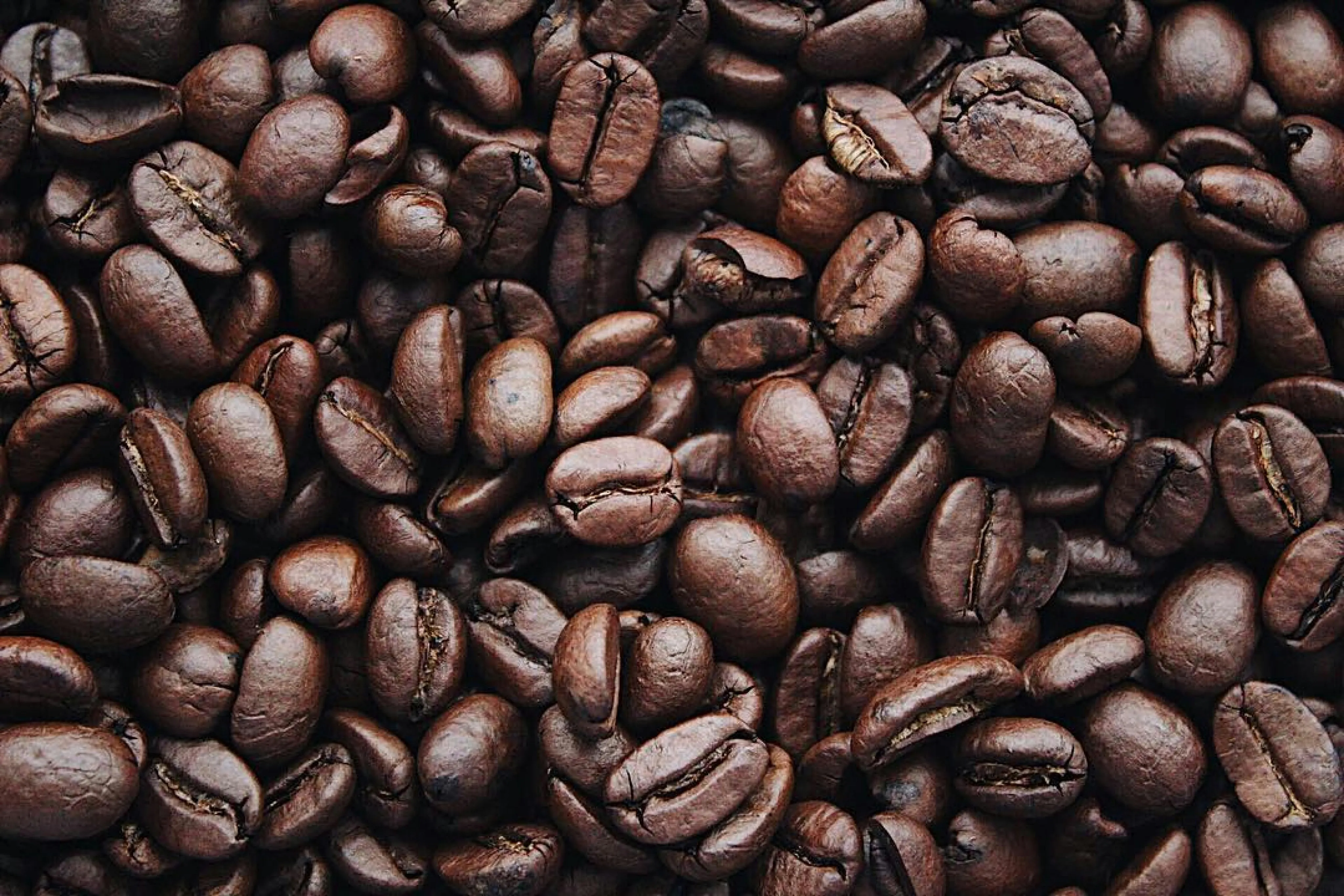 dark roast