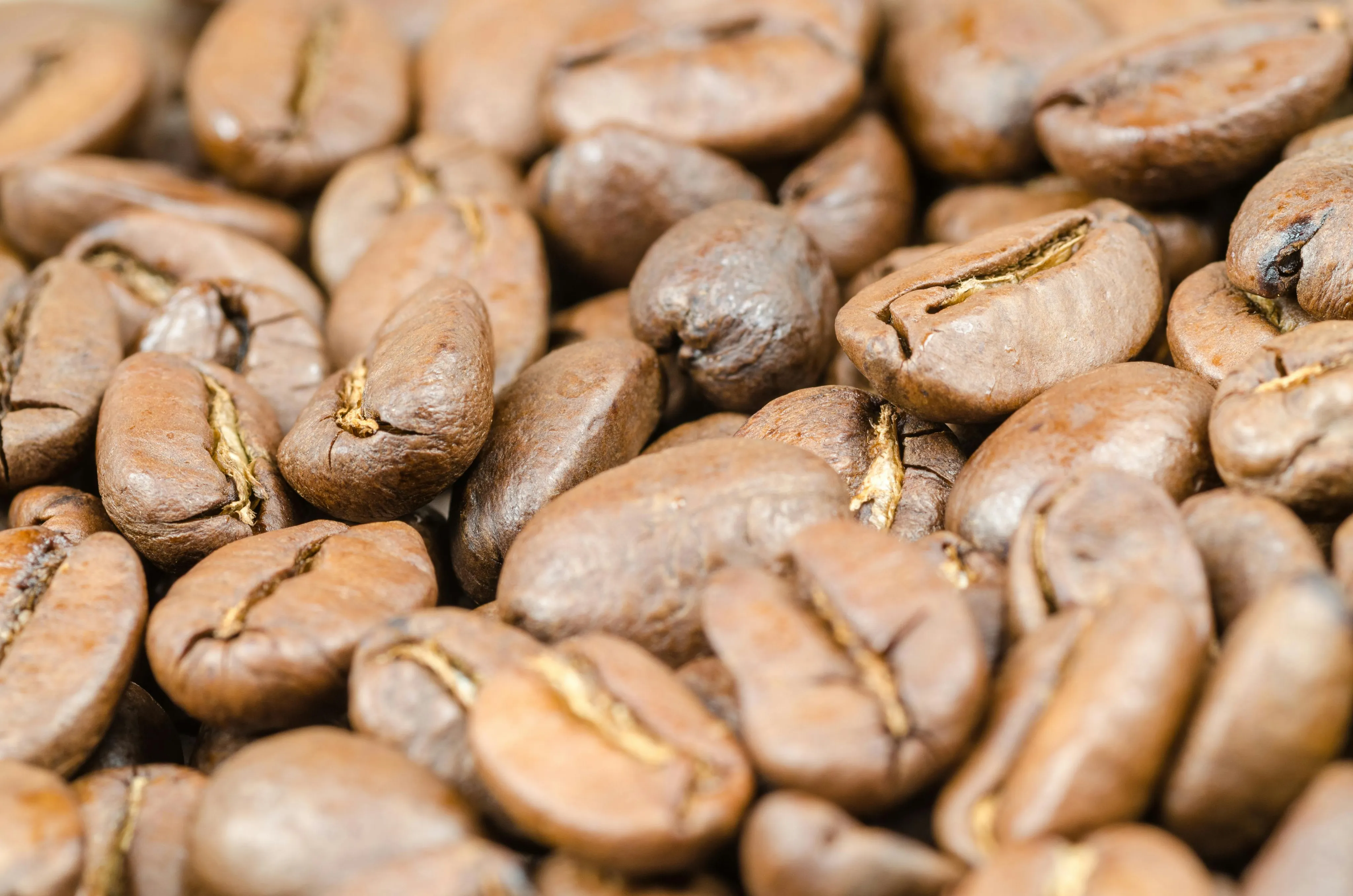 light roast